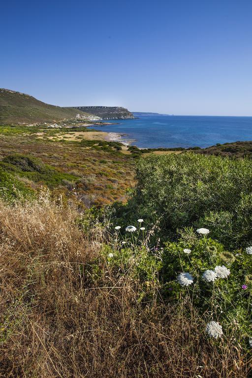 Residenza Solemar Villa Bosa Marina Eksteriør bilde