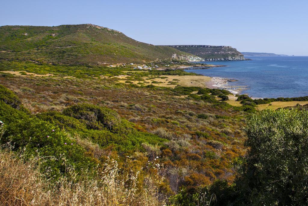 Residenza Solemar Villa Bosa Marina Eksteriør bilde